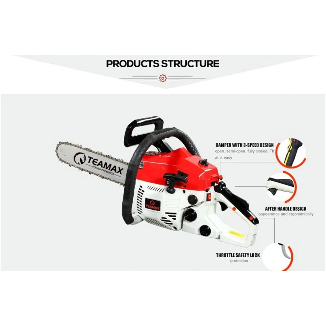 Professional Gasoline Chain Saw with CE (TM-CS5202)